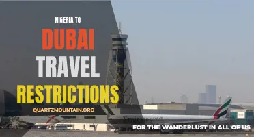 Nigeria's Travel Restrictions to Dubai Amidst the Pandemic
