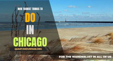 14 Non-Touristy Things to Do in Chicago