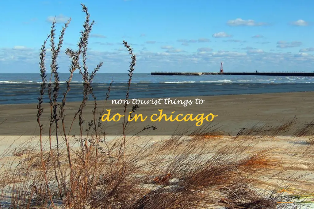 non tourist things to do in chicago