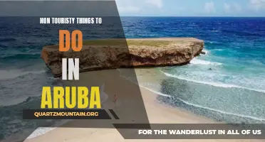 13 Unique Local Experiences in Aruba: Beyond the Tourist Trail