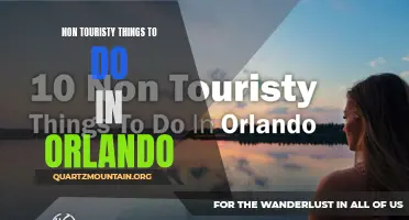 12 Unique and Offbeat Things to Experience in Orlando That Aren't Touristy