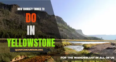 Exploring Yellowstone: Hidden Gems and Non-Touristy Activities to Discover