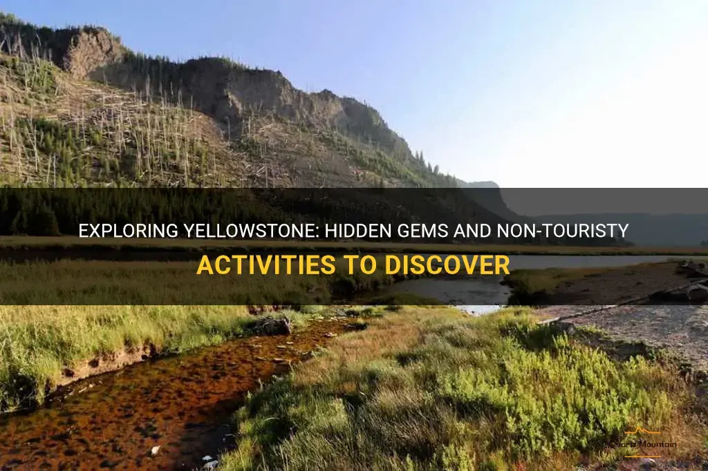 non touristy things to do in yellowstone