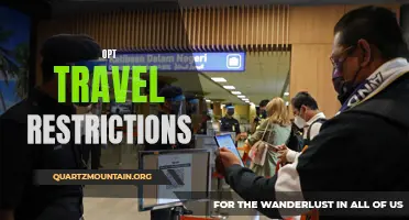 Exploring the Benefits of Opting for Easing Travel Restrictions
