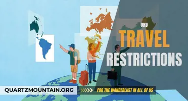 Navigating the Changing Landscape: Understanding Travel Restrictions amid the New World Order