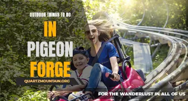 13 Must-Try Outdoor Activities in Pigeon Forge
