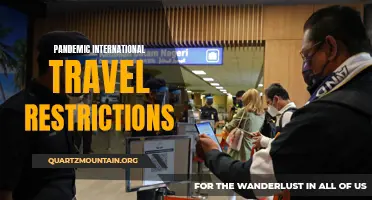 The Impact of Pandemic International Travel Restrictions on Global Tourism