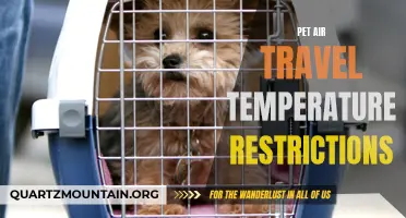 Understanding Pet Air Travel Temperature Restrictions: What You Need to Know