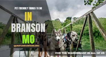 12 Fantastic Pet-Friendly Activities to Explore in Branson MO