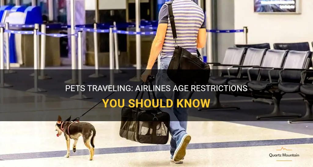 pet travel airlines age restriction