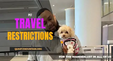 Navigating Pet Travel Restrictions: What You Need to Know
