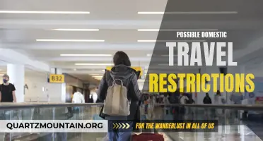 Exploring the Potential Implications of Domestic Travel Restrictions: A Closer Look at the Possible Effects on Travelers and the Tourism Industry