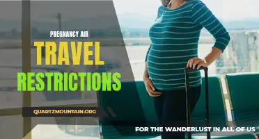 Exploring the Safety Guidelines and Restrictions for Air Travel During Pregnancy