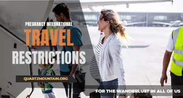 Navigating the Challenges of International Travel Restrictions During Pregnancy