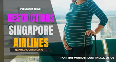 Pregnancy Travel Restrictions on Singapore Airlines: Know Before You Fly