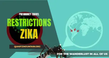 Navigating Pregnancy Travel Restrictions: What You Need to Know About Zika