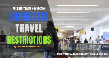 Trump Contemplates Implementing Domestic Travel Restrictions Amidst COVID-19 Surge