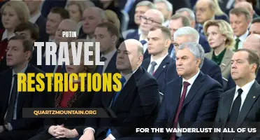 The Implications of Putin's Travel Restrictions on International Relations
