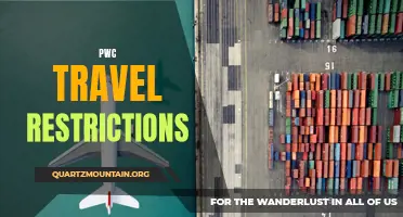 PwC Offers Expert Travel Restriction Recommendations for Businesses