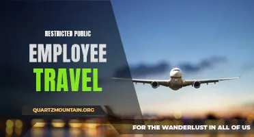 Exploring the Impact of Restricted Public Employee Travel on Government Operations
