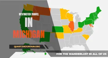 Exploring the Implications of Restricted Travel in Michigan