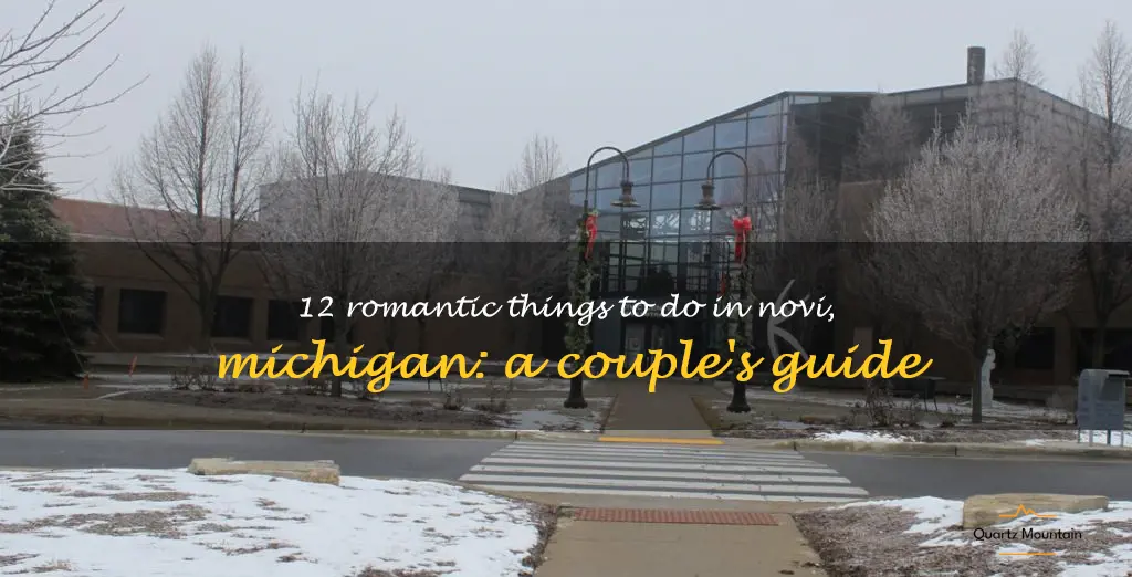 romantic things to do in novi michigan