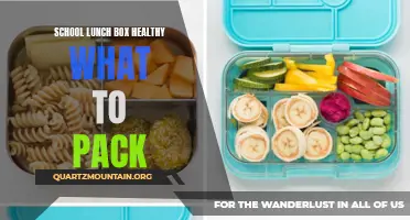 Delicious and Nutritious: School Lunch Box Ideas for a Healthy Meal