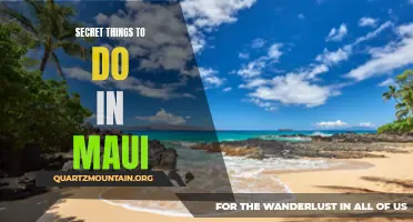 Hidden Gems of Maui: Secret Spots and Activities Await