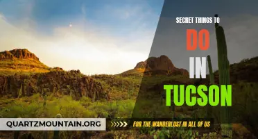 14 Hidden Gems in Tucson: Secret Things to Do and See