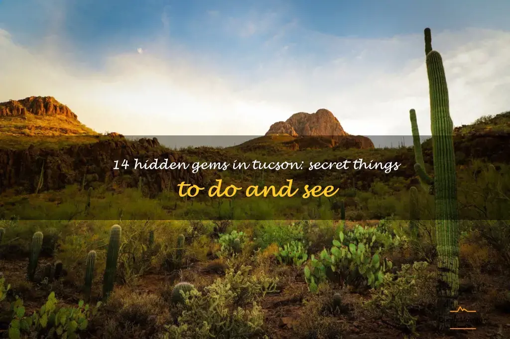 secret things to do in tucson