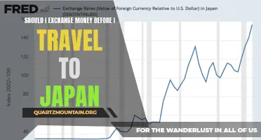 Is it Wise to Exchange Currency Before Travelling to Japan?
