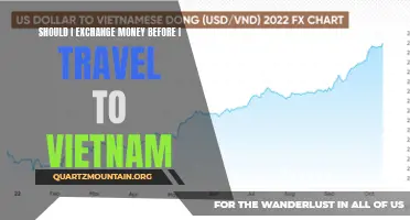 Exploring the Pros and Cons: Should You Exchange Money Before Traveling to Vietnam?