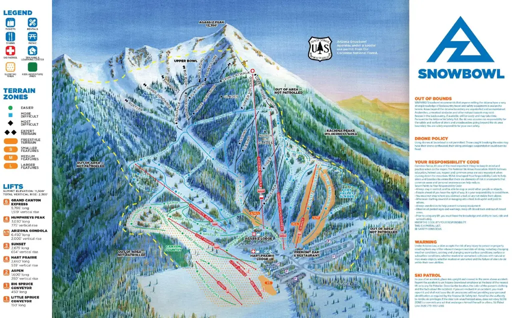 Skiing/snowboarding