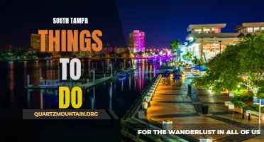 Exploring South Tampa: A Guide to Local Attractions and Activities