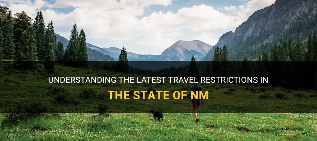 state of nm travel restrictions
