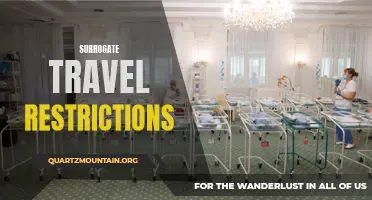 Navigating the Changing Landscape of Surrogate Travel Restrictions