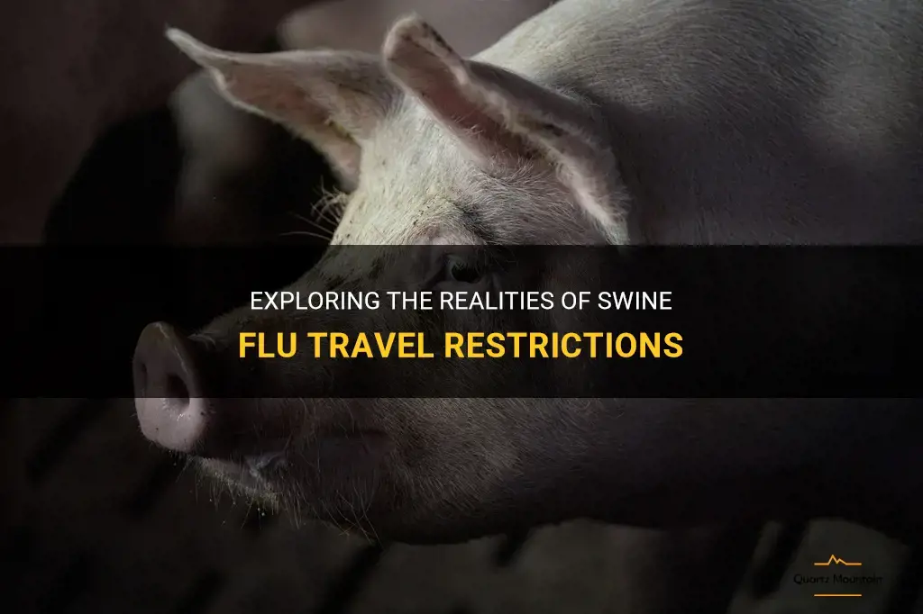 swine flu travel restrictions