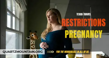 Understanding Texas Travel Restrictions for Pregnant Women