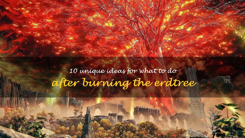 things to do after burning the erdtree