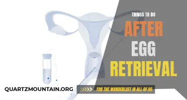 12 Essential Tips for Post-Egg Retrieval Care and Recovery.