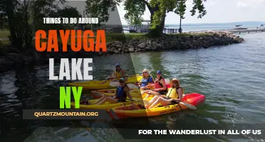 Exploring the Scenic Beauty: 7 Must-Do Activities Around Cayuga Lake, NY