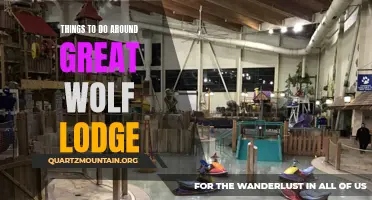 12 Exciting Activities to Experience Around Great Wolf Lodge