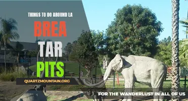 Exploring the Fascinating Prehistoric World: 5 Must-Do Activities around LA Brea Tar Pits