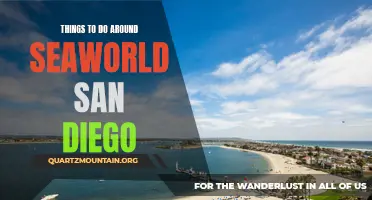 The Top 5 Exciting Things to Do Around SeaWorld San Diego