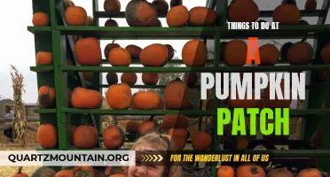 11 Fun Activities at a Pumpkin Patch
