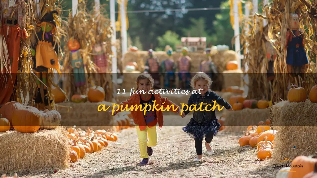 things to do at a pumpkin patch