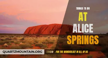 11 Exciting Activities to Experience in Alice Springs