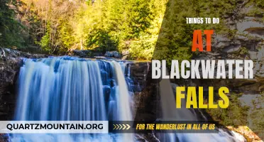 12 Fun Things to Do at Blackwater Falls