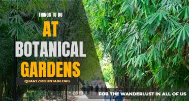 10 Fun Activities to Explore at Botanical Gardens