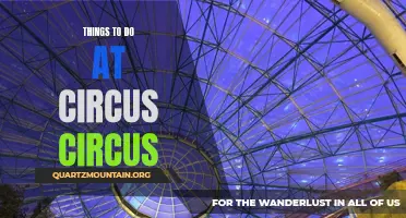 12 Fun Activities to Enjoy at Circus Circus